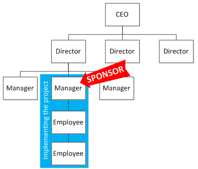 project sponsor manager