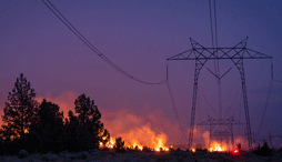 Wildfire under an electrical transmission line in a forested area