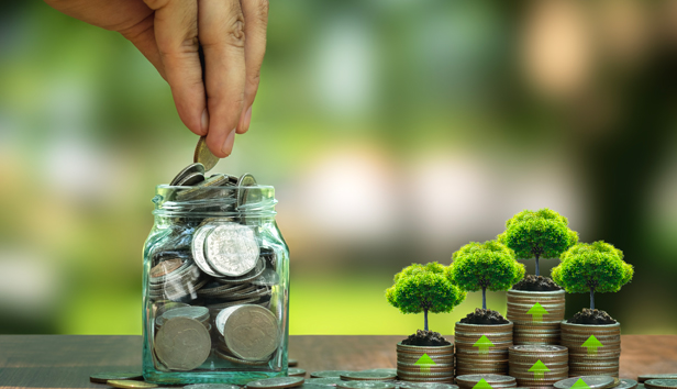 Tree on stack of silver coins and hand filling glass jar with coins
