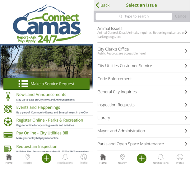 camas_1