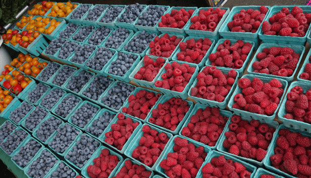 A close up of rows of berries at the Whatcom County Farmer's Market