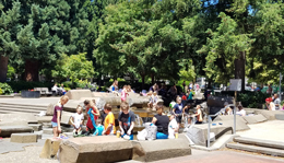 Kids at Vancouver's Esther Short Park