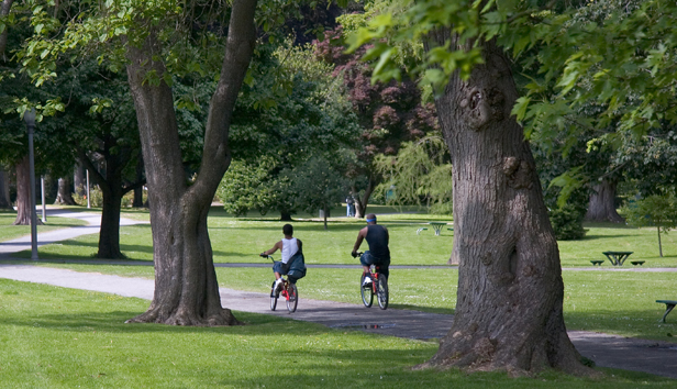 Two people ride bikes through a park