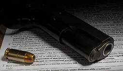A form for purchasing a gun