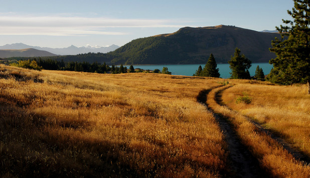 Grassy meadow with trees, lake, and mountain in background