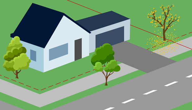 Fig-1-right-of-way_graphic_tree-leaves_618x355