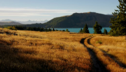 Grassy meadow with trees, lake, and mountain in background
