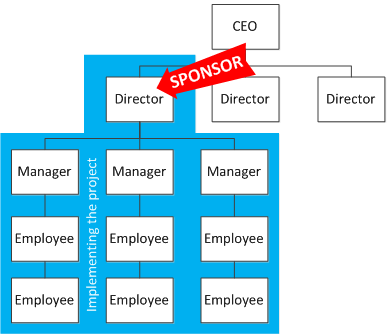 project sponsor director