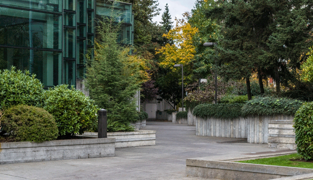 View of a little public park with trees and greenery along Seattle's city hall exterior