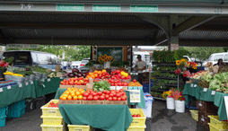 A vendor stall at an outdoor market featuring produce, cut flowers, and potted plants